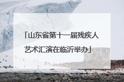 山东省第十一届残疾人艺术汇演在临沂举办