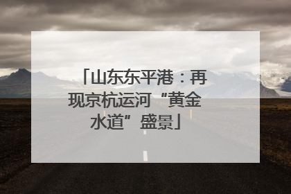 山东东平港：再现京杭运河“黄金水道”盛景