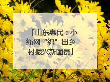 山东惠民：小绳网“织”出乡村振兴新图景
