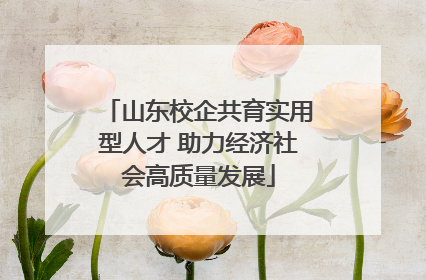 山东校企共育实用型人才 助力经济社会高质量发展