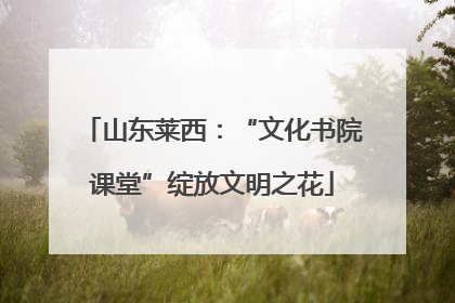 山东莱西：“文化书院课堂”绽放文明之花