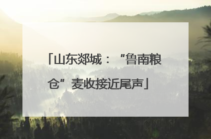 山东郯城：“鲁南粮仓”麦收接近尾声