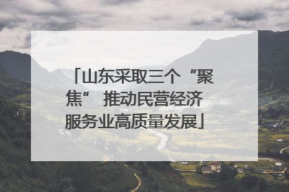 山东采取三个“聚焦” 推动民营经济服务业高质量发展