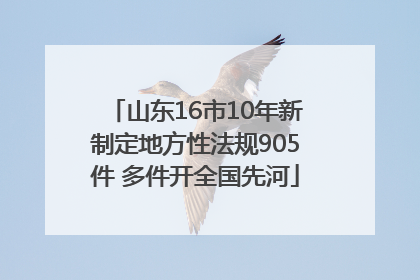 山东16市10年新制定地方性法规905件 多件开全国先河