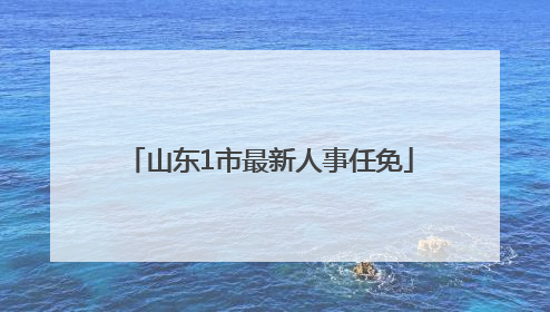 山东1市最新人事任免
