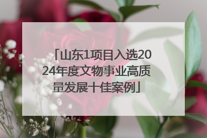 山东1项目入选2024年度文物事业高质量发展十佳案例