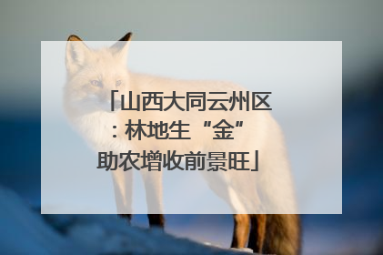 山西大同云州区：林地生“金” 助农增收前景旺