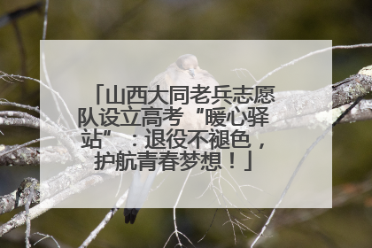 山西大同老兵志愿队设立高考“暖心驿站”：退役不褪色，护航青春梦想！