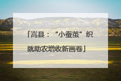 嵩县：“小蚕茧”织就助农增收新画卷