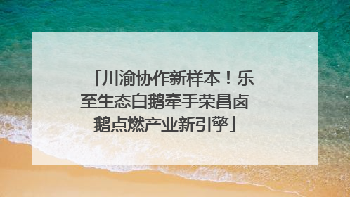 川渝协作新样本！乐至生态白鹅牵手荣昌卤鹅点燃产业新引擎