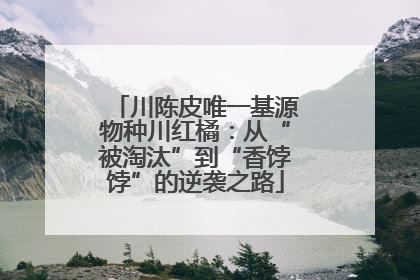川陈皮唯一基源物种川红橘：从“被淘汰”到“香饽饽”的逆袭之路