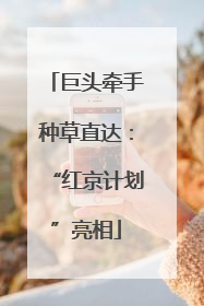 巨头牵手种草直达：“红京计划”亮相