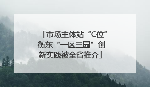 市场主体站“C位” 衡东“一区三园”创新实践被全省推介
