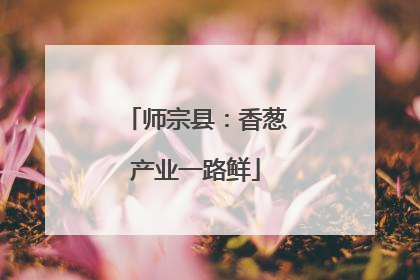 师宗县：香葱产业一路鲜