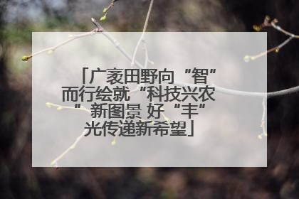 广袤田野向“智”而行绘就“科技兴农”新图景 好“丰”光传递新希望