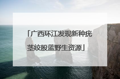 广西环江发现新种疣茎绞股蓝野生资源