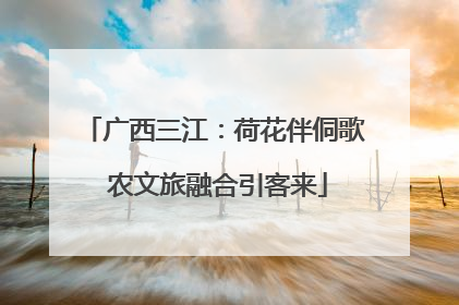 广西三江：荷花伴侗歌 农文旅融合引客来
