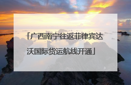 广西南宁往返菲律宾达沃国际货运航线开通