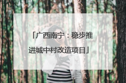 广西南宁：稳步推进城中村改造项目