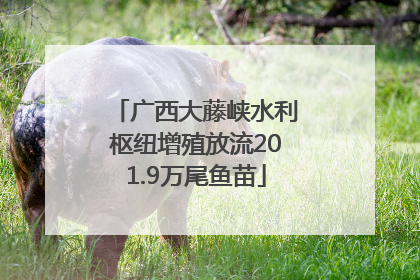 广西大藤峡水利枢纽增殖放流201.9万尾鱼苗