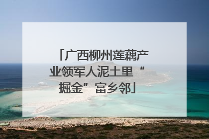 广西柳州莲藕产业领军人泥土里“掘金”富乡邻