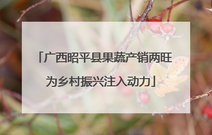 广西昭平县果蔬产销两旺 为乡村振兴注入动力