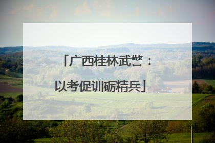 广西桂林武警：以考促训砺精兵
