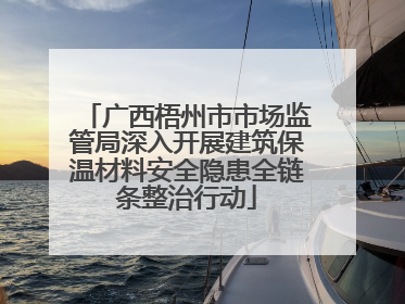 广西梧州市市场监管局深入开展建筑保温材料安全隐患全链条整治行动