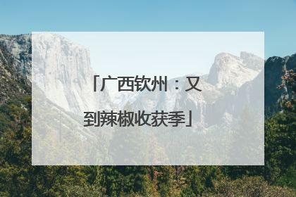 广西钦州：又到辣椒收获季