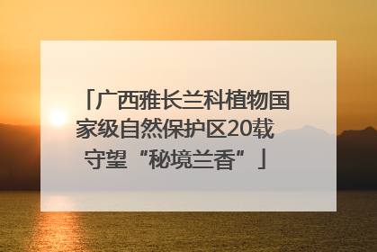 广西雅长兰科植物国家级自然保护区20载守望“秘境兰香”