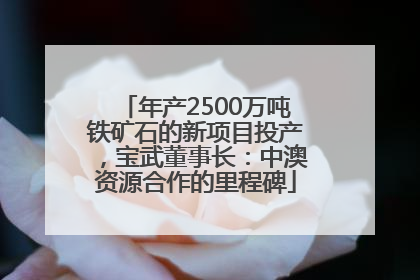 年产2500万吨铁矿石的新项目投产，宝武董事长：中澳资源合作的里程碑