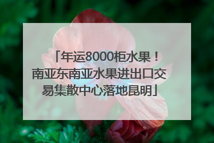 年运8000柜水果！南亚东南亚水果进出口交易集散中心落地昆明