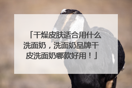 干燥皮肤适合用什么洗面奶，洗面奶品牌干皮洗面奶哪款好用！