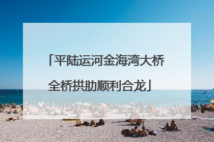 平陆运河金海湾大桥全桥拱肋顺利合龙