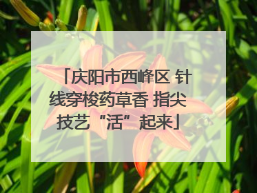 庆阳市西峰区 针线穿梭药草香 指尖技艺“活”起来