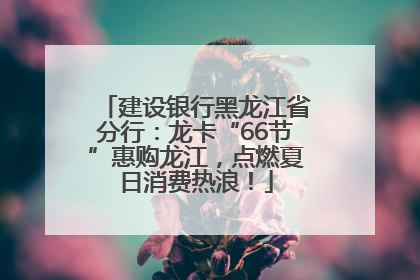 建设银行黑龙江省分行：龙卡“66节”惠购龙江，点燃夏日消费热浪！