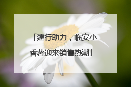建行助力，临安小香薯迎来销售热潮