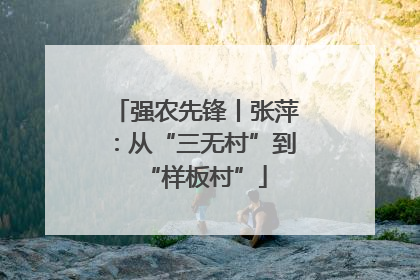 强农先锋丨张萍：从“三无村”到“样板村”