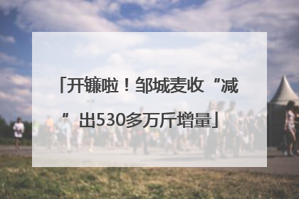 开镰啦！邹城麦收“减”出530多万斤增量