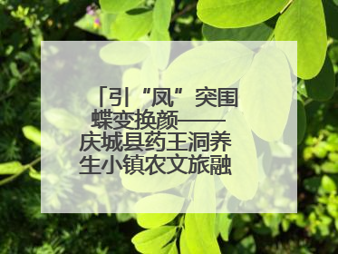 引“凤”突围 蝶变换颜——庆城县药王洞养生小镇农文旅融合发展纪实