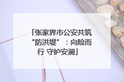 张家界市公安共筑“防洪堤”：向险而行 守护安澜