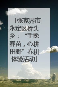 张家界市永定区桥头乡：“手挽春苗，心耕田野”春耕体验活动