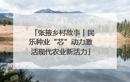 张掖乡村故事｜民乐种业“芯”动力激活现代农业新活力