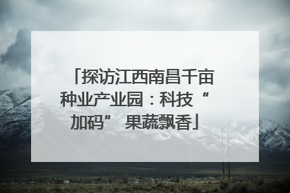 探访江西南昌千亩种业产业园：科技“加码” 果蔬飘香