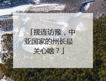 接连访豫，中亚国家的州长最关心啥？