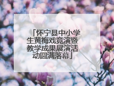 怀宁县中小学生黄梅戏竞演暨教学成果展演活动圆满落幕