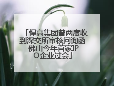 悍高集团曾两度收到深交所审核问询函 佛山今年首家IPO企业过会