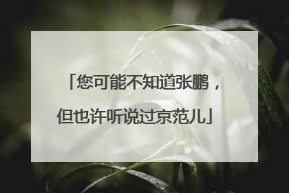 您可能不知道张鹏，但也许听说过京范儿