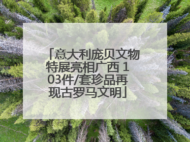 意大利庞贝文物特展亮相广西 103件/套珍品再现古罗马文明