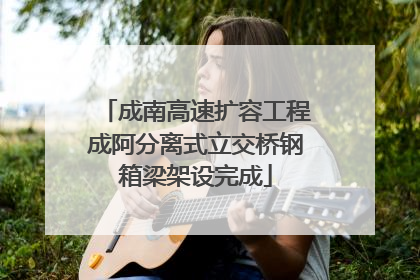 成南高速扩容工程成阿分离式立交桥钢箱梁架设完成